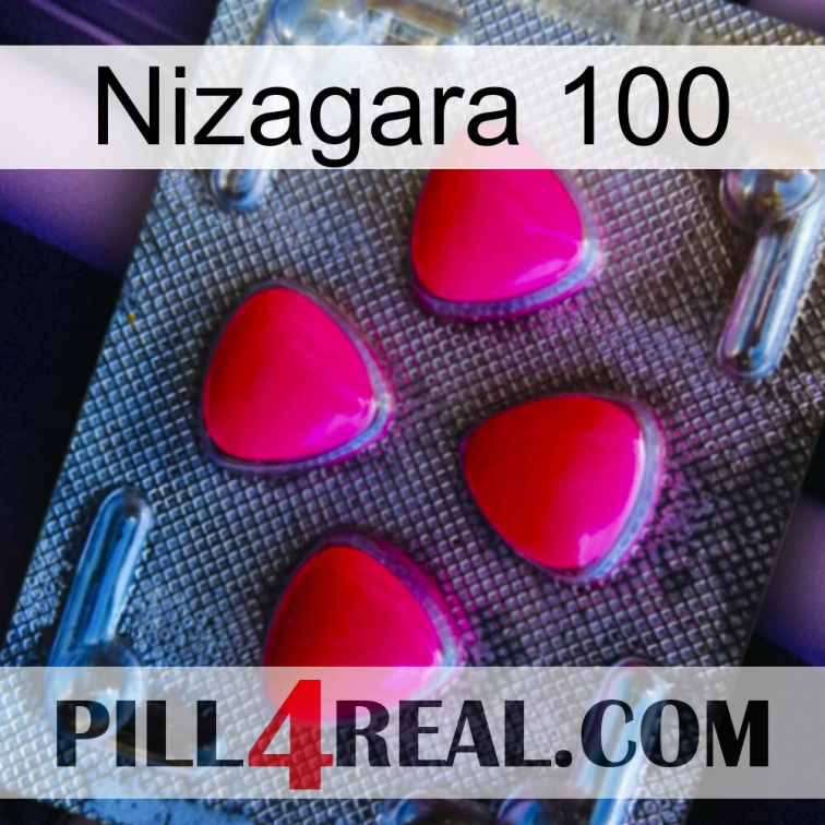 Nizagara 100 13
